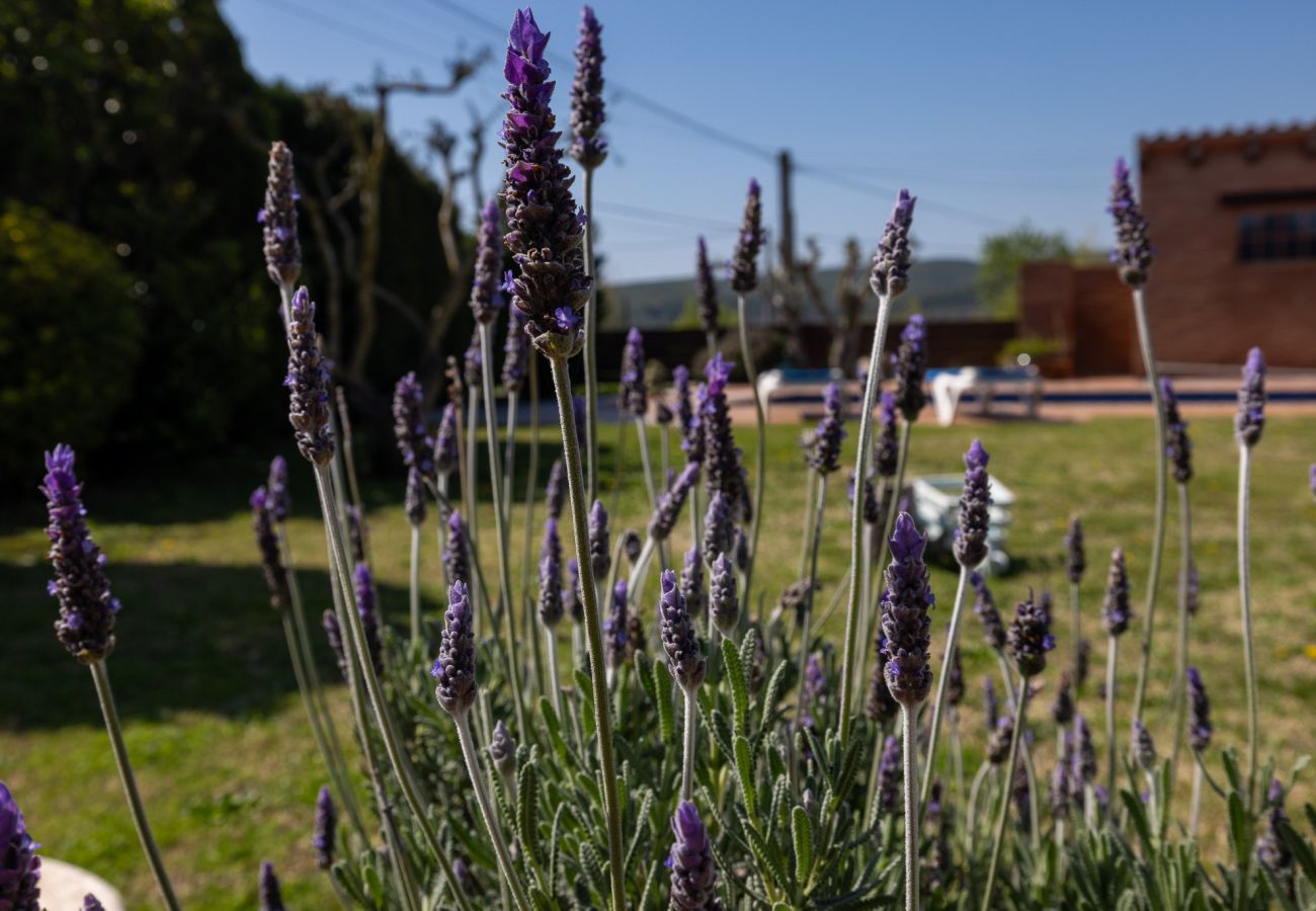 Casa en Albons - Casa Alba